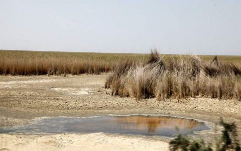 مرگ تدریجی تالاب هورالعظیم؛ از حقآبه پرداخت نشده تا آتشسوزی و استخراج نفت 1 مرگ تدریجی تالاب هورالعظیم