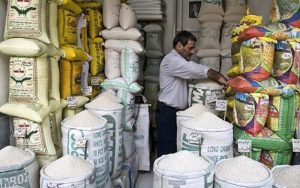 موج گرانی برنج به میادین رسید