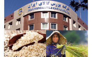 چگونه از بورس کالا برنج بخریم؟