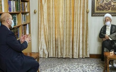 دیدار رئیس مجلس با مراجع عظام تقلید 1 دیدار رئیس مجلس با مراجع عظام تقلید