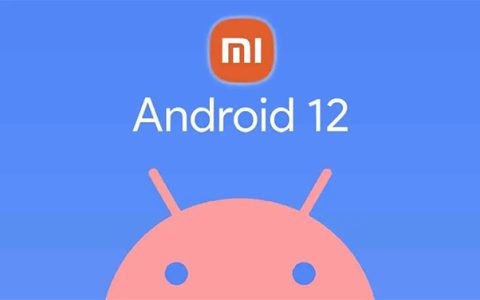 Android-12-Xiaomi-1