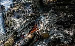 اطفای آتش در پارک ملی خجیر