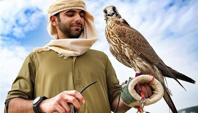 تجارت سیاه پرندگان شکاری در ازای فلوس شیوخ عرب