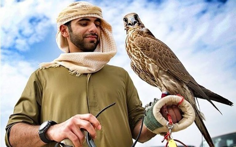 تجارت-سیاه-پرندگان-شکاری-در-ازای-فلوس-شیوخ-عرب