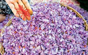 زعفران و معجزه آن‌ برای کاهش وزن