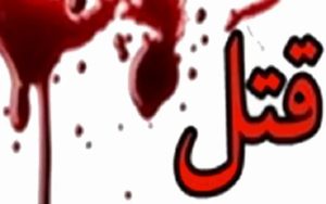 قتل فجیع راننده تاکسی اینترنتی برای سرقت خودرو