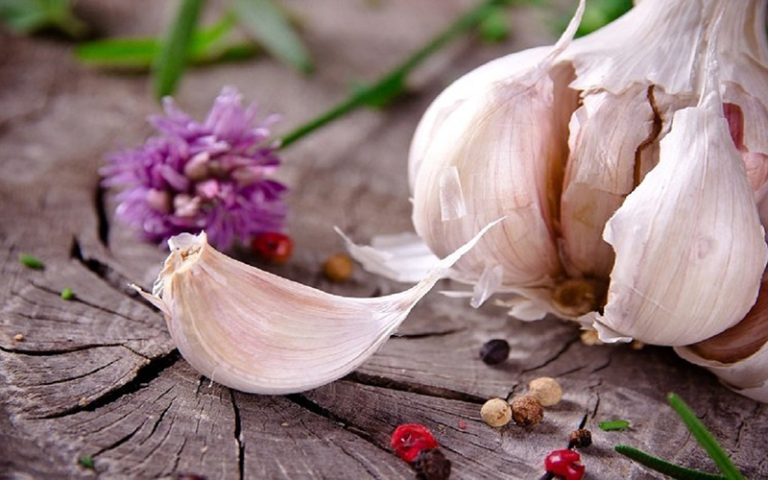 مصرف سیر برای چه کسانی ممنوع است؟