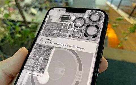 iphone-13-display-swaps