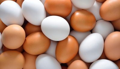 بسته بندی علت کمبود تخم مرغ اعلام شد