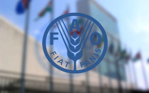 افزایش قیمت مواد غذایی در جهان در ماه اکتبر 1 افزایش قیمت مواد غذایی در جهان در ماه اکتبر