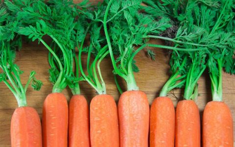 خواص شگفت‌انگیز تفاله هویج