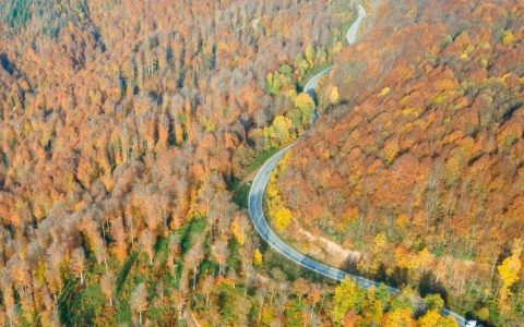 سمفونی رنگ ها در پاییز