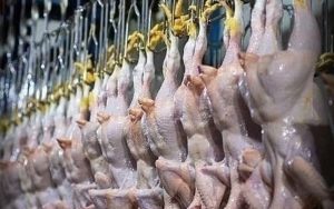 فروش اینترنتی مرغ گرم از هفته‌ آینده