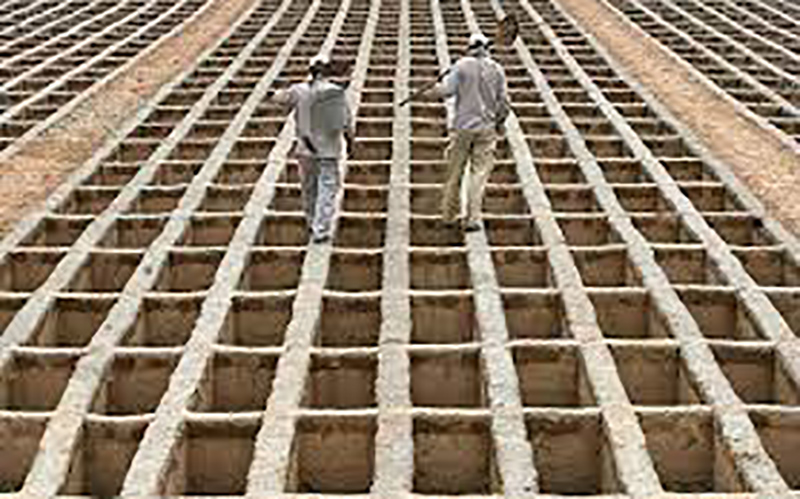 مرگ و میرهای غیرطبیعی