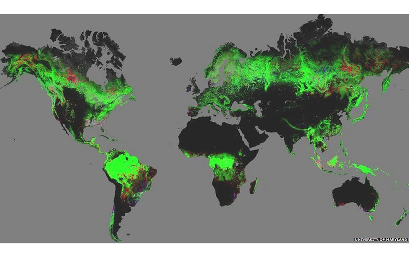 میزان نابودی اصلی‌ترین جنگل‌های کره زمین