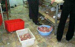 کشف 1260 کیلو گوشت فاسد از یک قصابی تهران