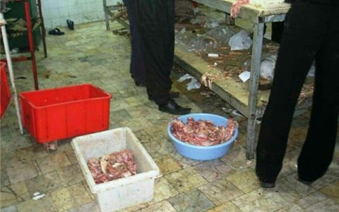 کشف 1260 کیلو گوشت فاسد از یک قصابی تهران 1 کشف 1260 کیلو گوشت فاسد از یک قصابی تهران