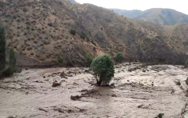 یک کشته و ۵ زخمی در سیل عسلویه