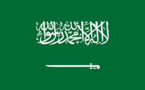 بازداشت ۲۵۰ مقام دولتی در عربستان
