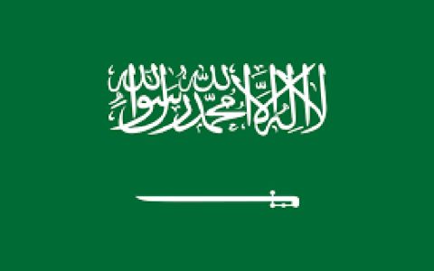 بازداشت ۲۵۰ مقام دولتی در عربستان 1 بازداشت ۲۵۰ مقام دولتی در عربستان