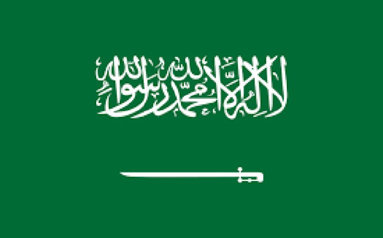 بازداشت ۲۵۰ مقام دولتی در عربستان
