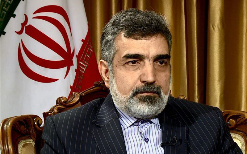 توضیحات کمالوندی درباره نصب دوربین‌ها در مجتمع تسا کرج