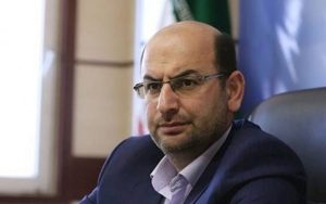 جزئیات طرح فروش اینترنتی کالاهای اساسی