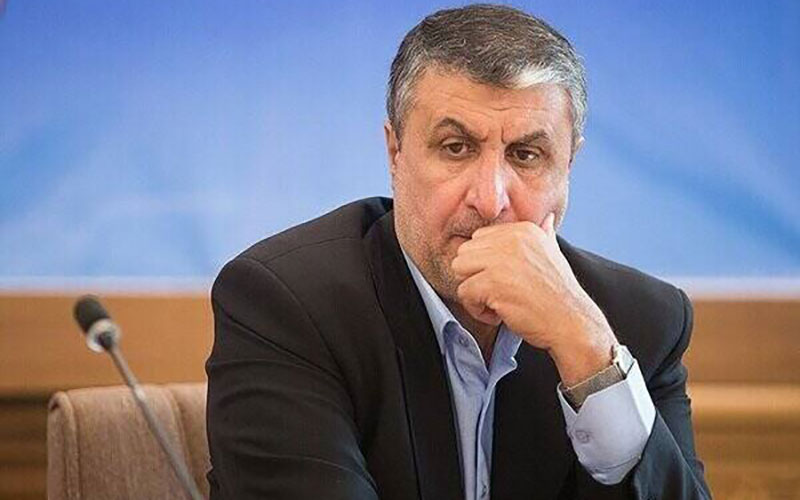 رییس سازمان انرژی اتمی ایران