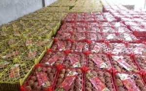 واکنش گمرک به خبر برگشت بار ایران از امارات