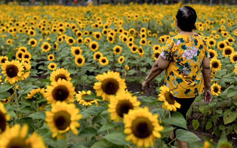 دیدنی های امروز؛ از نخستین فرمانده زن کشتی جنگی آمریکایی تا بانوی خلبانی که دور دنیا پرواز کرد
