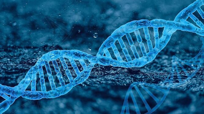 DNA antenna