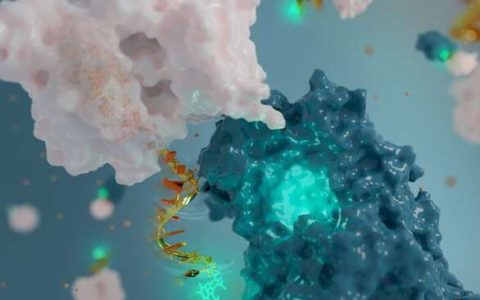 DNA-antenna2