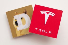 doge-tesla