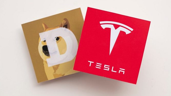 doge-tesla
