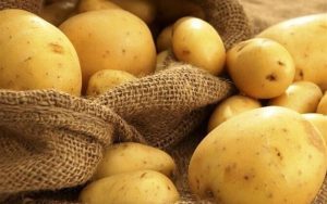 ازبکستان سلامت سیب زمینی صادراتی ایران را به طور رسمی تایید کرد