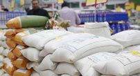 قیمت برنج