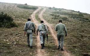 حکم قصاص محیط بان کرمانشاهی تایید و ابلاغ شد