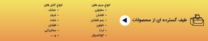 کسری، نامی آشنا در لاله زار تهران