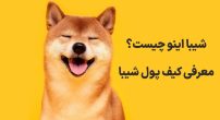 شیبا اینو