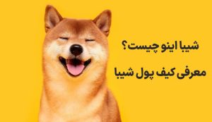 شیبا اینو