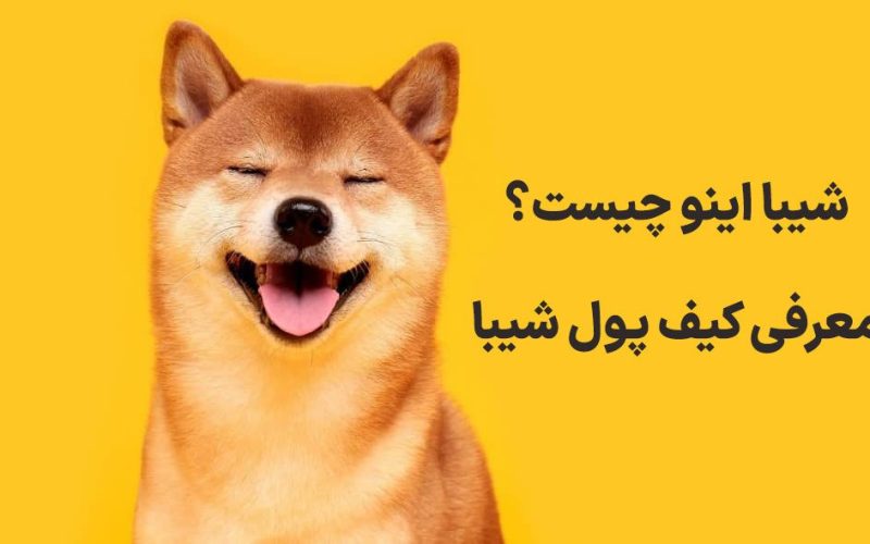 شیبا اینو
