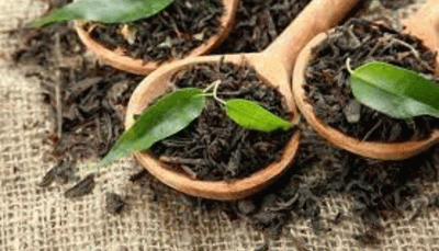 ضرر صادرکنندگان چای هندی از توافق تهاتری ایران و سریلانکا
