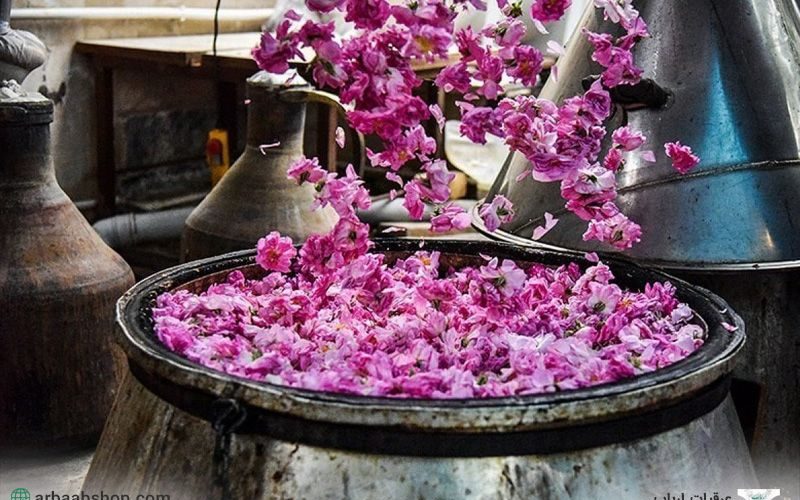 عرق گلاب گیری