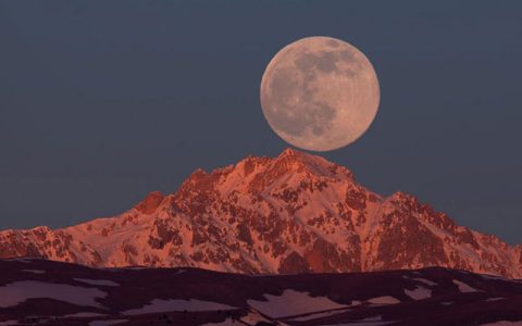 ماه گرگ