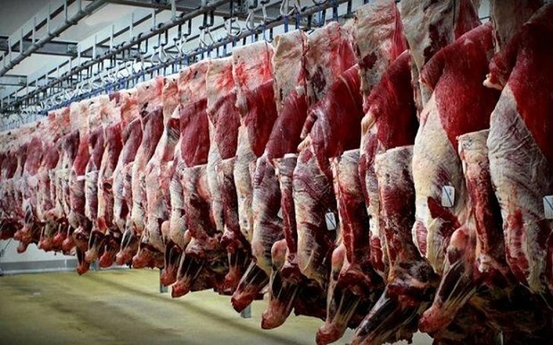 اتحادیه مرکزی دام سبک: حذف ارز ۴۲۰۰ تومانی تاثیر چندانی بر بازار گوشت قرمز ندارد