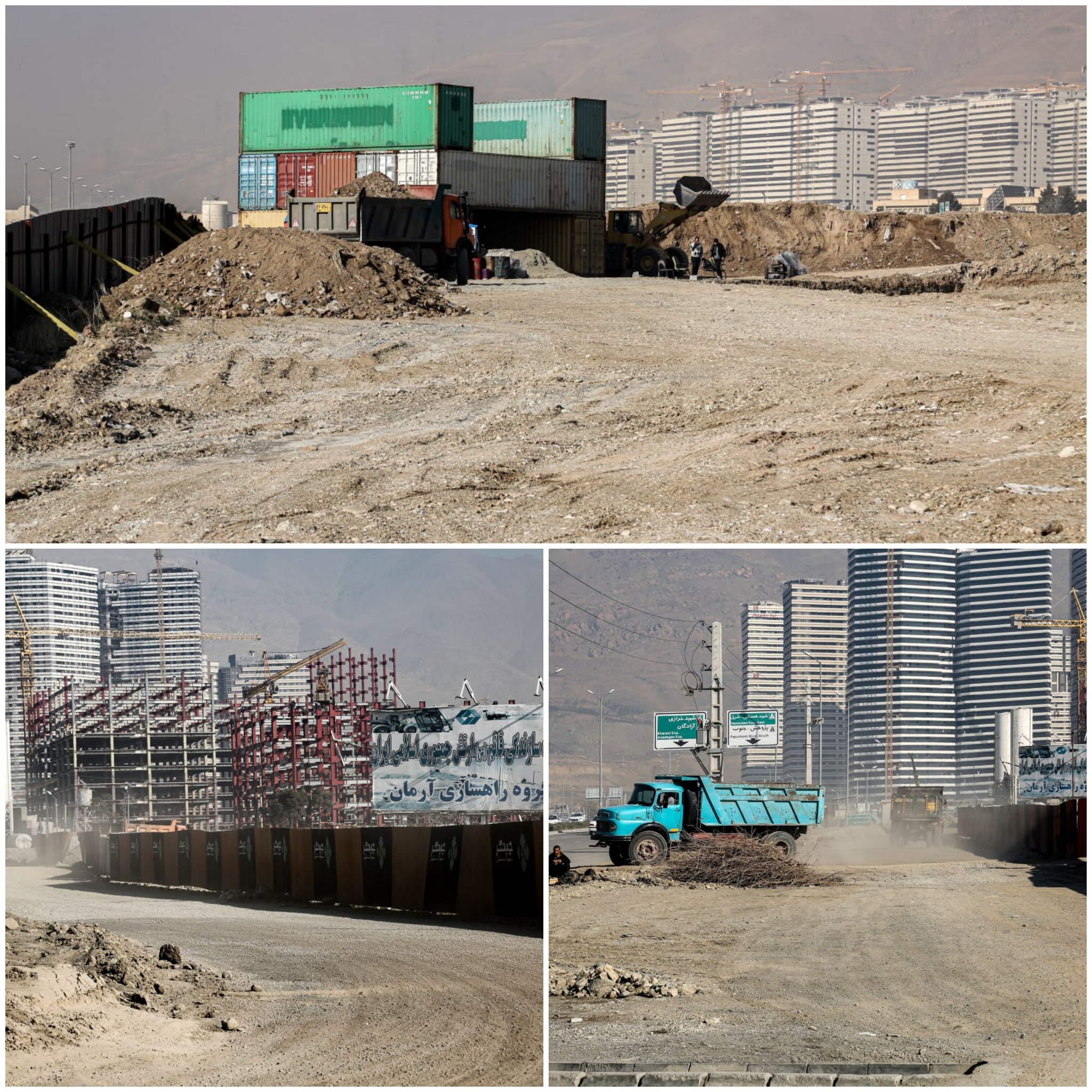 گیاه شناسی