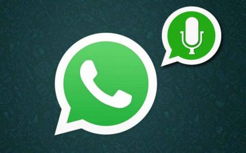 1whatsapp-voice-1