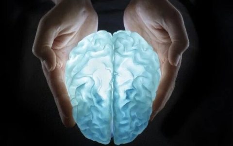 space-brain-002 (1)