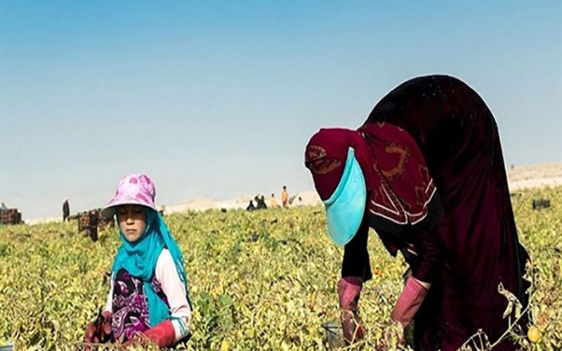 آتش‌سوزی چادر کارگران «گوجه چین» در بردخون