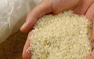 افزایش مجدد قیمت برنج در یک هفته اخیر
